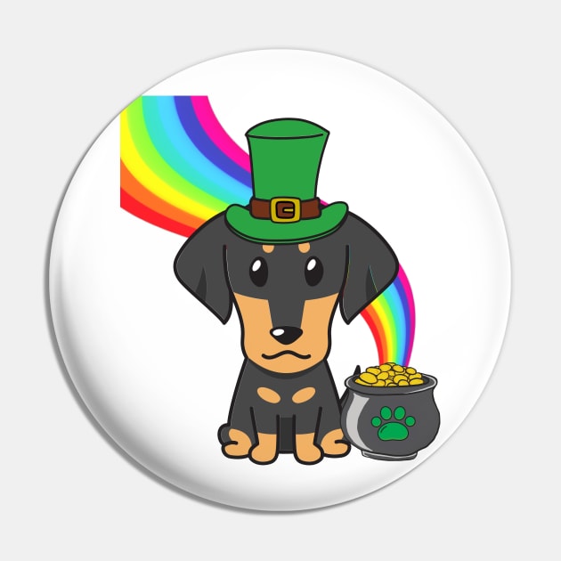 Funny dachshund celebrates st patricks day Pin by Pet Station