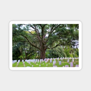 Final Resting Place Magnet