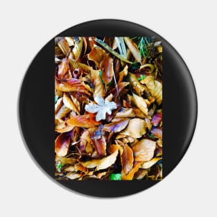 Autumn means leaves Pin