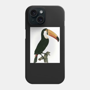 Toco toucan from Histoire Naturelle des Oiseaux de Paradis et Des Rolliers Phone Case