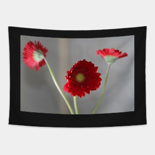 red gerber daisies Tapestry