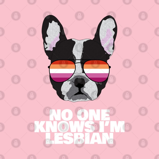 Funny NO ONE KNOWS I'M LESBIAN - Boston Terrier Dog Lesbian Pride Flag by NightField