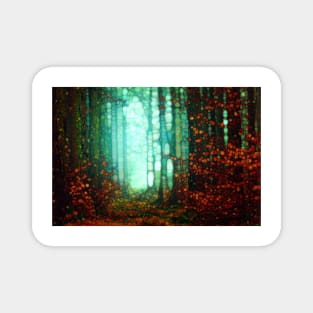 Magical forest light Magnet