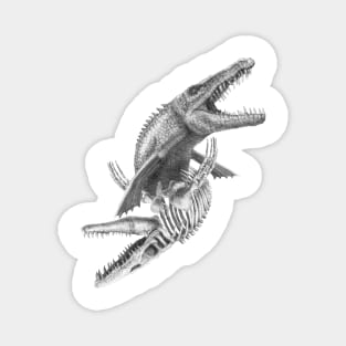 Mosasaurus Magnet