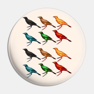 Colorful Birds Pin