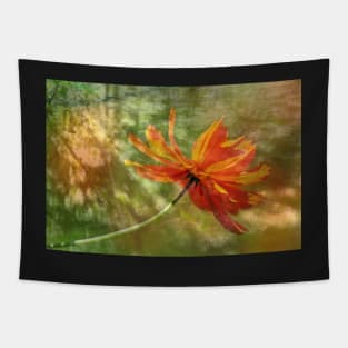 Cosmos Impression Tapestry