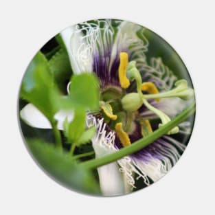 Passion Flower Closeup Pin