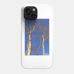 Silver Birch, Turbary Common, March 2021 Phone Case