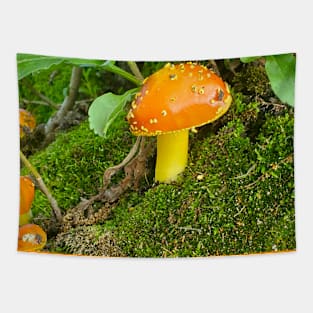 Amanita Village Tapestry