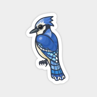 Blue Jay Magnet