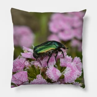 An insect on a beautiful pink flower Pillow