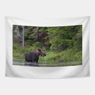 Lunch in Algonquin Park - Canadian Moose Tapestry