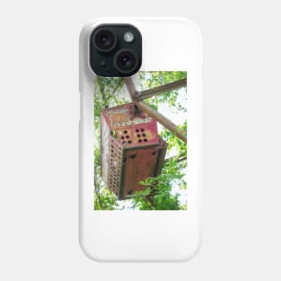 Abandon Amusement Park - West Virginia Phone Case