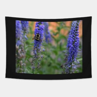 Honey Bee Foraging in the Garden Tapestry