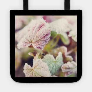 Frosted Begonia Leaves #2 Tote