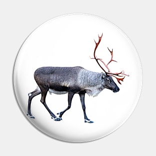 Lapland Pin