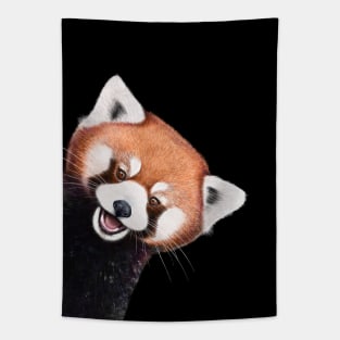 Red panda Tapestry