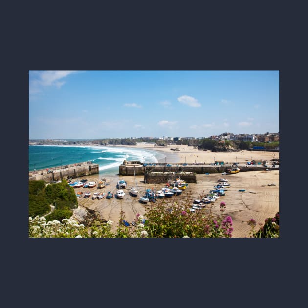 Newquay Harbour And Towan Beach by tommysphotos