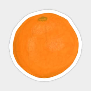 orange fruit Magnet