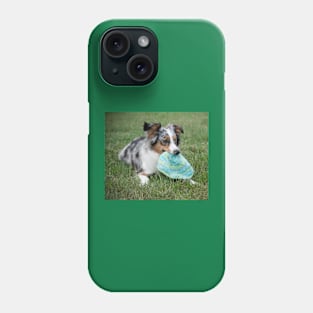 Miniature American Shepherd blue merle laying with toy Phone Case