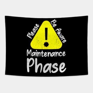 Please be aware maintenance phase Tapestry