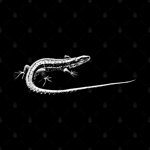 Lizard by R LANG GRAPHICS