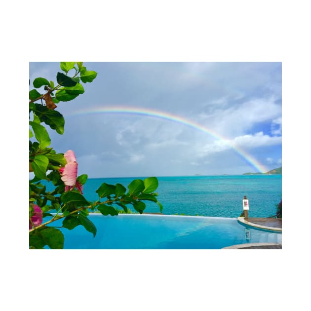 Rainbow over Hibiscus by ephotocard