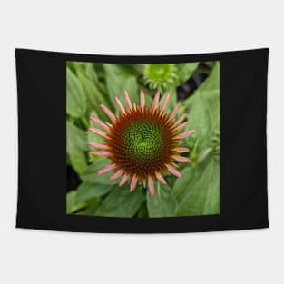 Flower Opening Petals Photographic Image Tapestry