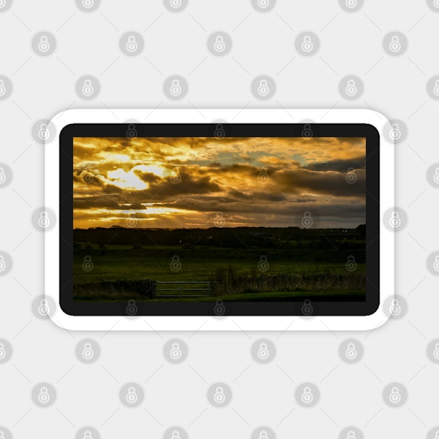 Seaton Sluice Field Sunset Magnet by axp7884