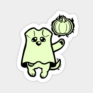 Little Ghost Dog Has a Pumpkin Magnet