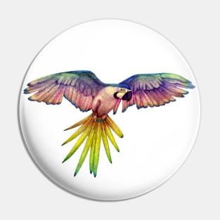 Rainbow Macaw in Flight Pin