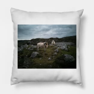 Tup & Ewe Pillow