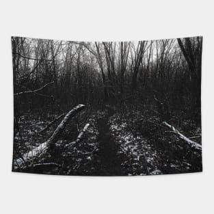 Lonely path Tapestry