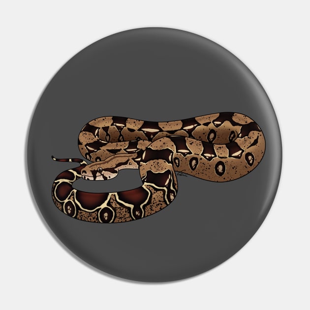 Boa Constrictor Imperator - BCI - Common Boa or Black-tailed Boa Pin by anacecilia