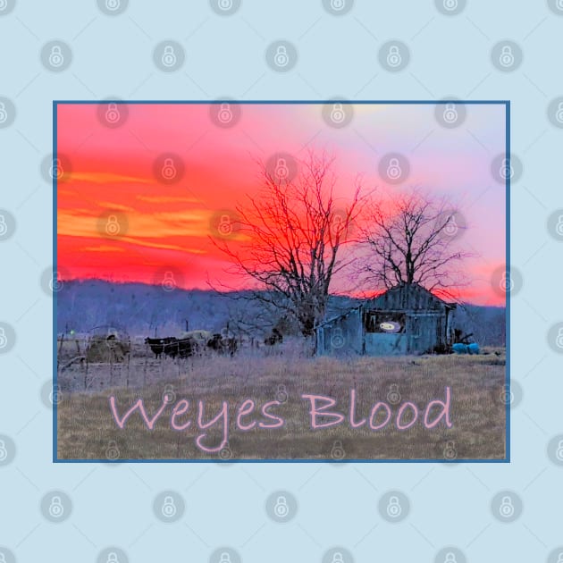 Weyes Blood by Noah Monroe