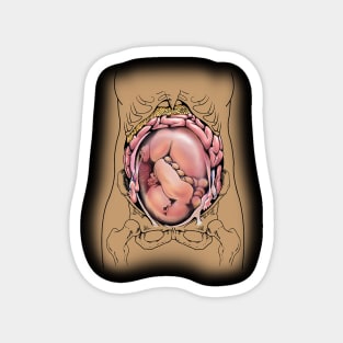 Fetus in Utero Magnet