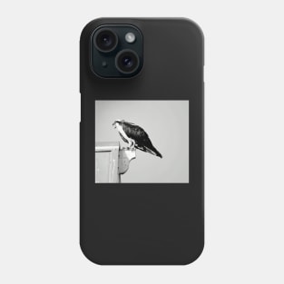 Squawking Osprey Phone Case