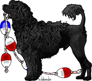 Portuguese Water Dog Lion with Float Line Magnet