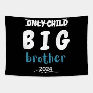 Kids Only Child Big Brother 2024, Promoted To Big Brother 2024 Tapestry