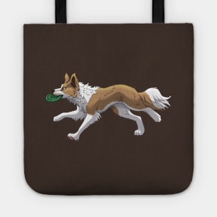 Running Golden Border Collie with Frisbee Tote