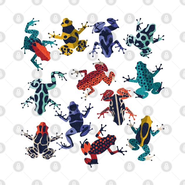 Quirky dart frogs dance // spot // brightly multicoloured poison amphibians by SelmaCardoso