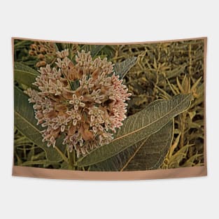 Milkweed Bloom No.3 Tapestry