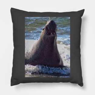 Elephant seal roaring Pillow