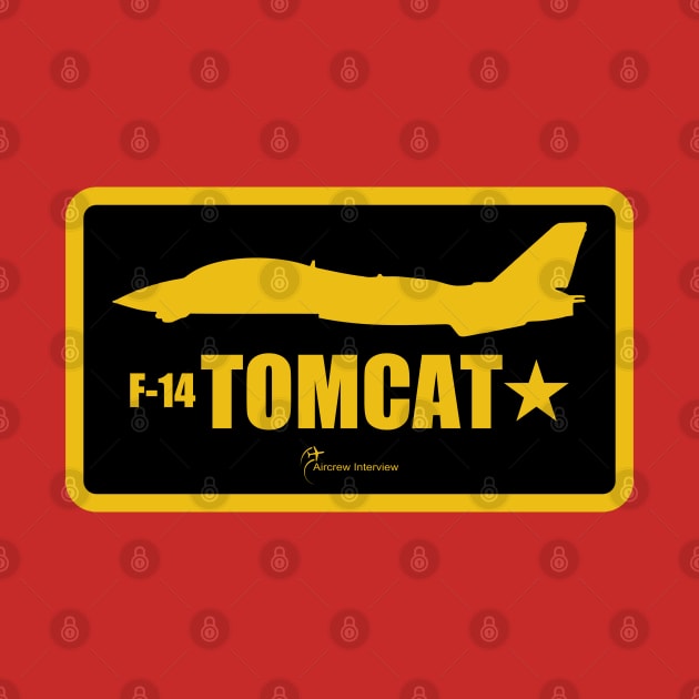 F-14 Tomcat by Aircrew Interview