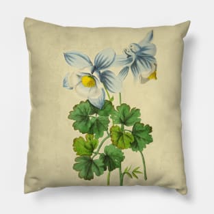 Aquilegia Jucunda With Details Pillow