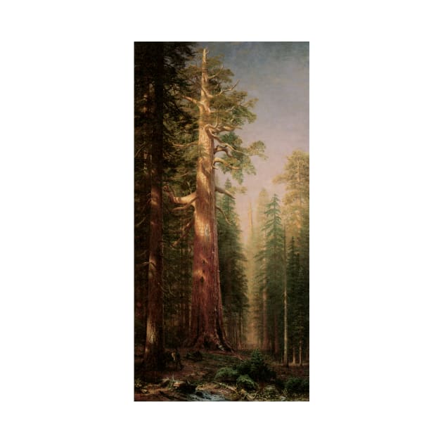 Great Trees, Mariposa Grove, California by Albert Bierstadt by MasterpieceCafe