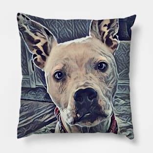 Zero The Pitbull Pillow