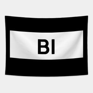 Bi Square Tapestry