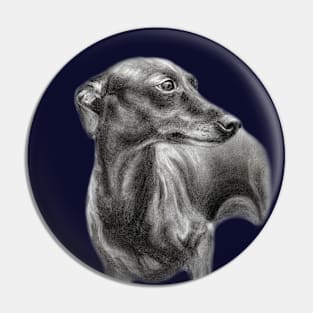 Greyhound Drawing Pin