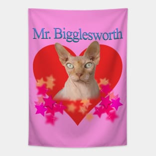 Mr. Bigglesworth (Dr Evils Cat) Tribute Tapestry